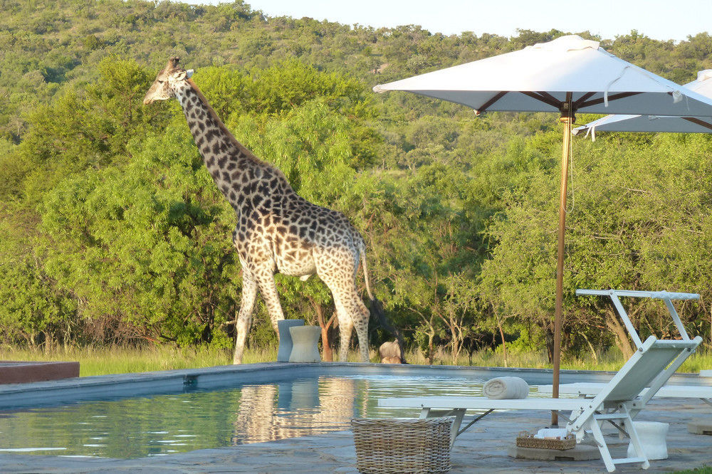Zebras Crossing Private Game Lodge Modimolle Exterior photo