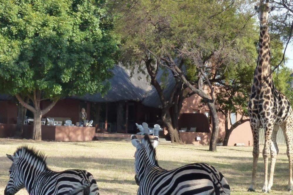 Zebras Crossing Private Game Lodge Modimolle Exterior photo