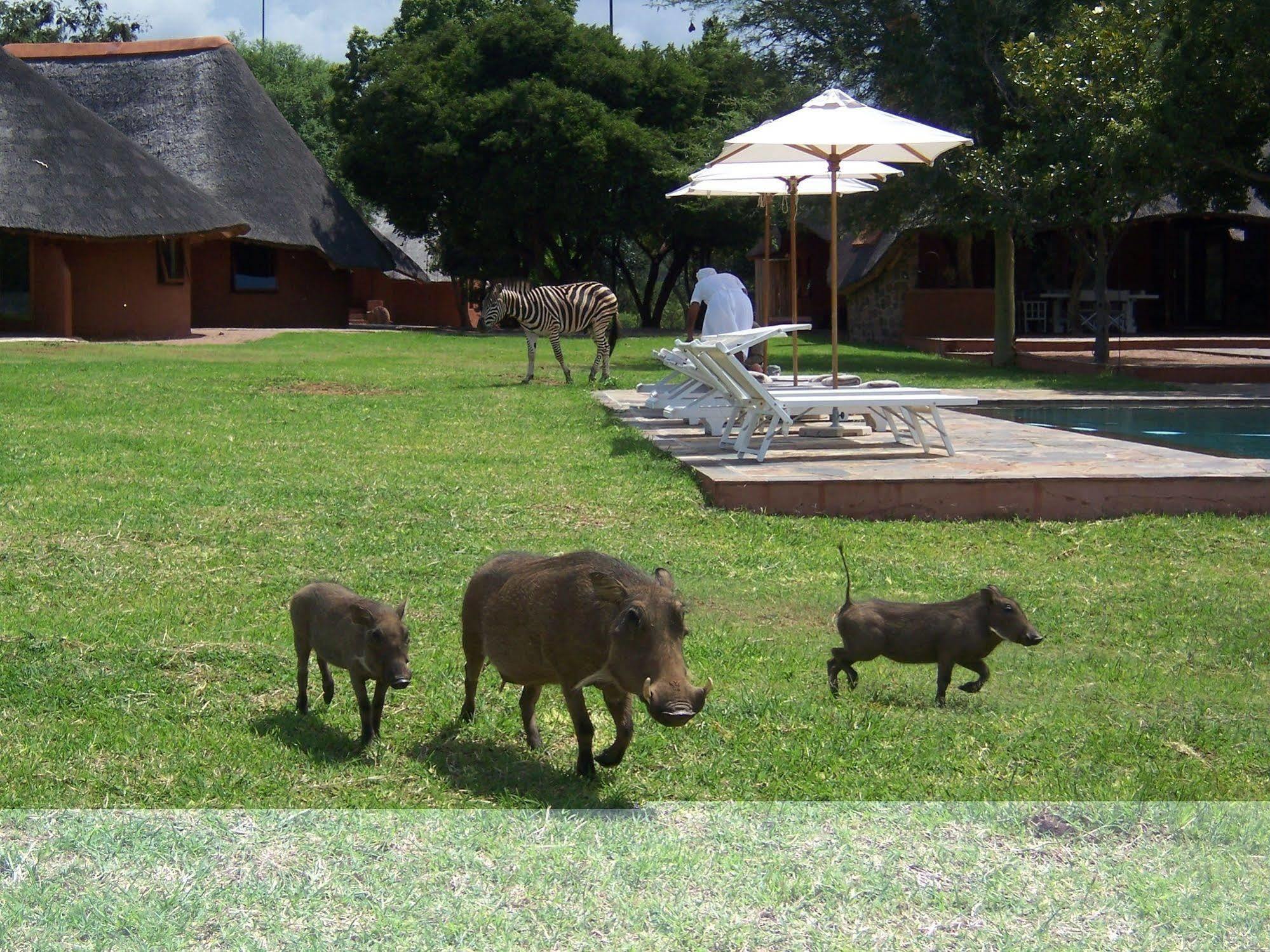 Zebras Crossing Private Game Lodge Modimolle Exterior photo