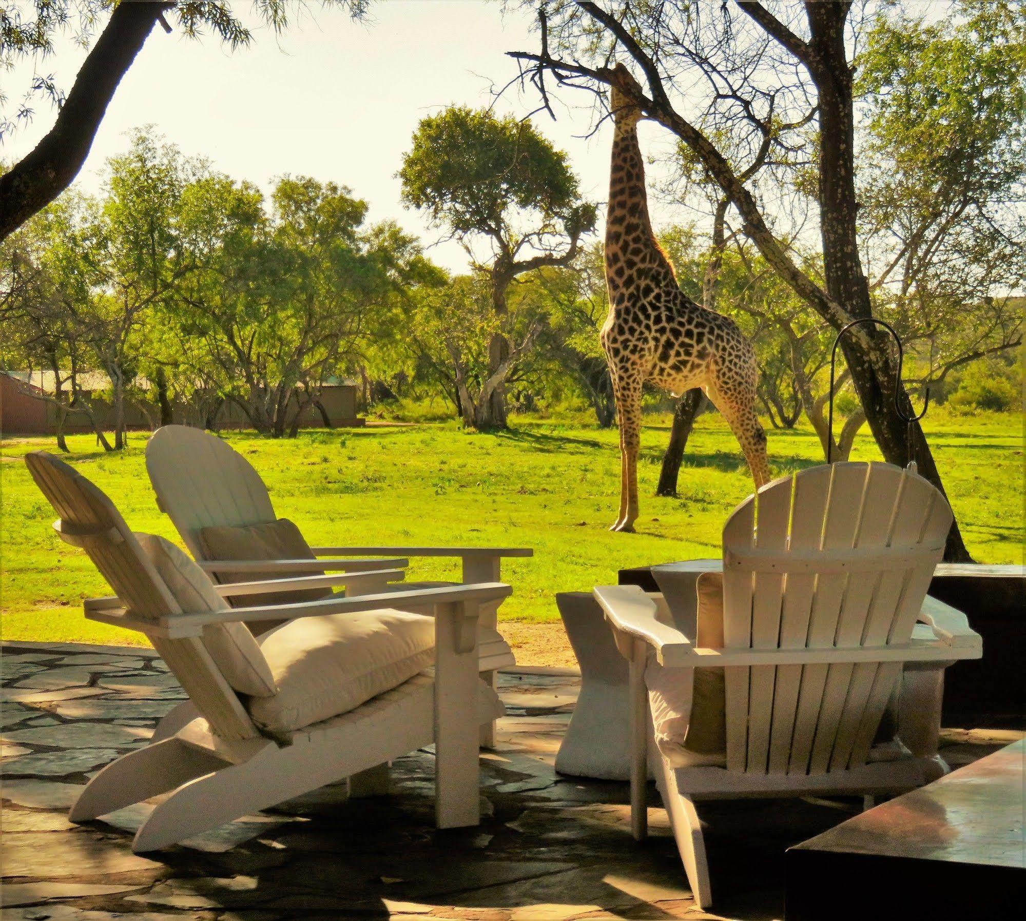 Zebras Crossing Private Game Lodge Modimolle Exterior photo